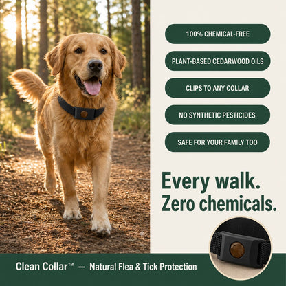 The Clean Collar