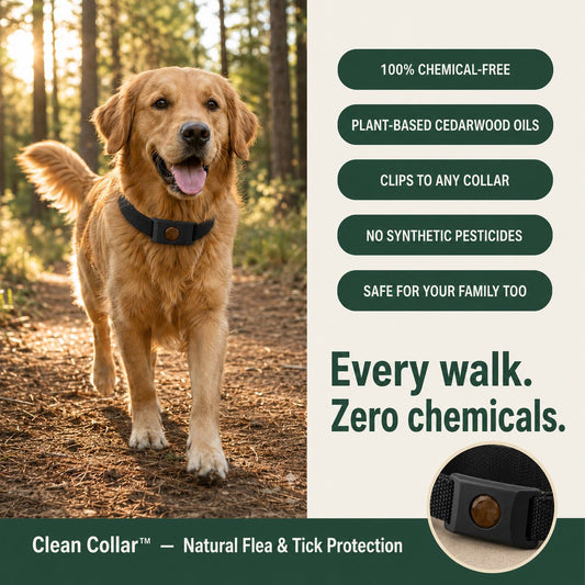 The Clean Collar